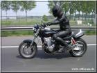 Lade Bild...